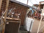 Subestaciones Eléctricas
